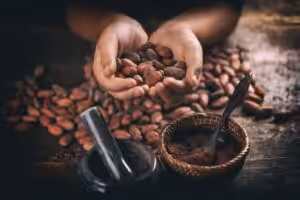 cacao